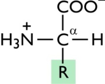amino-karbonsavak általános képlete